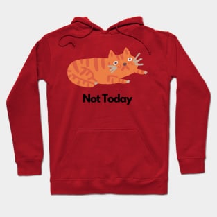 Cat funny Hoodie